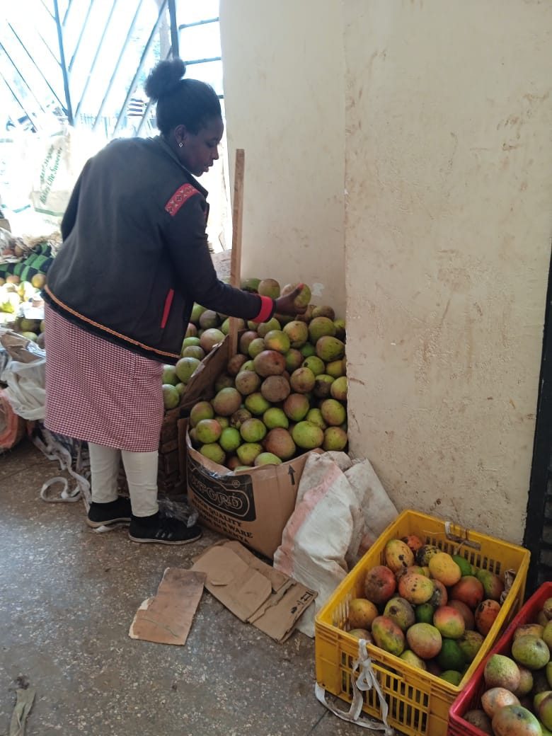Trader arranging mangoes in crates