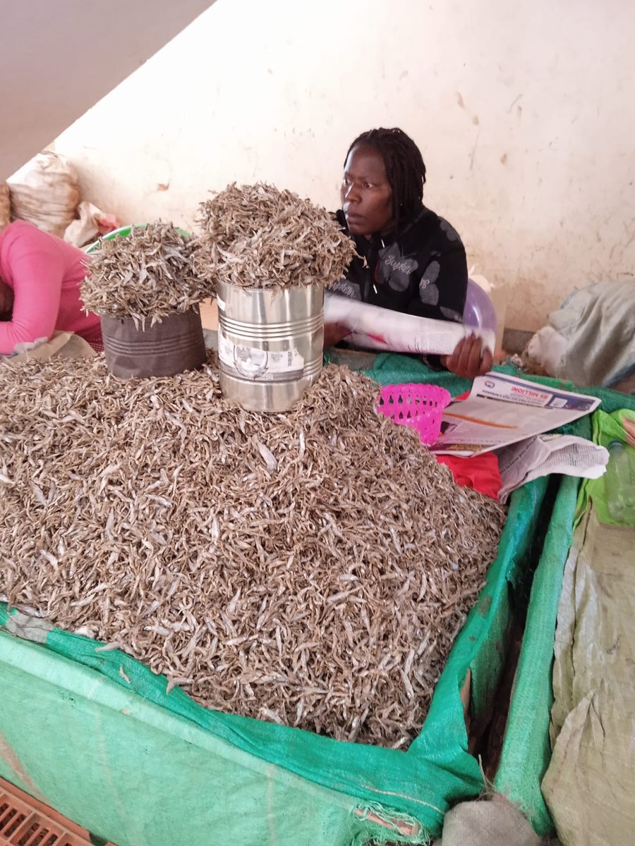 Dried fish seller at her stall